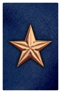 DF35T 430 CP BL Star Copper Blue